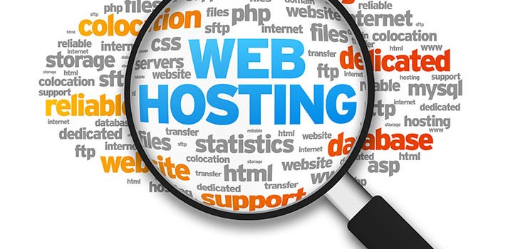 Wordpress Hosting Means