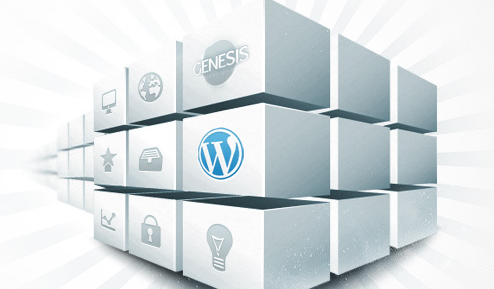 Wordpress Domain Hosting Package
