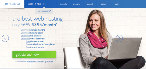 Wordpress Hosting Website