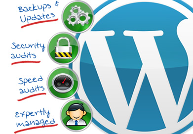 Wordpress Web Hosting South Africa