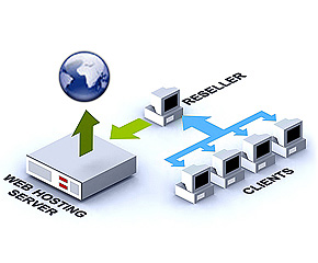 Wordpress Hosting Rotterdam