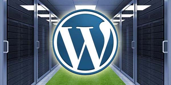 Snelle Wordpress Hosting